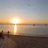 Sara_anzalone9 - @sara_anzalone9 - TikTok