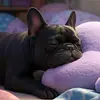 sara - @sara.anzalone5 - TikTok