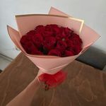 sara ramos - @sara_apodaca - Instagram