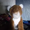 Sara Aragon - @saraaragon866 - TikTok