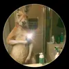sarahi - @saraaragon026 - TikTok