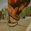 Sarah Archibald - @smarchibald - TikTok