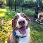 Sara Ashworth - @sashworth09 - Instagram