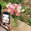 Sara Au - @saraau0 - TikTok