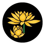 Sara Baca - @golden_lotus_mystics - Instagram