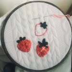 Sara backer - @sarasembroiderywork - Instagram