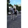 Sara Badilla - @sarabc_09 - TikTok