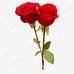 Sara Badillo Elizalde - Facebook