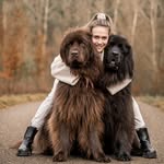 Sarah Bahner - Hundetrainerin - @die_neufis - Instagram