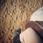 Sára Balogh🐴 - @sara._.balogh - Instagram