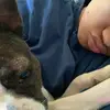 Sarah Barbour - @sarahbarbour - TikTok