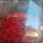 Sara Barekzai - @barekzainafiseh - Instagram