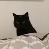 Sara Bartolini - @yummy.dummys_ - TikTok