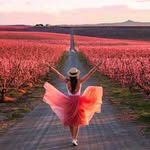 sara bashiri - @sara__3893.shiraz - Instagram