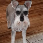 Sarah Basinger-Adams - @basingeradams - Instagram