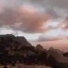 sarabasiri3 - @sarabasiri3 - TikTok