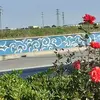 Sara.batt - @sara.batt2 - TikTok