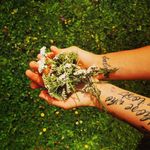 Sarah Baughman - @astro.herbal.soul - Instagram