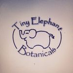 Sarah Baughman - Creator - @tinyelephantbotanics - Instagram