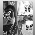 Sara Becerril - Facebook