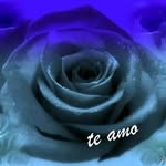 Sara becerril - @pm8908108 - Instagram