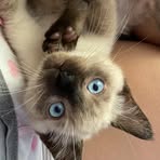 Sara Bedoya - Facebook