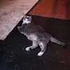 Sara Bedrick - @sara.bedrick - TikTok