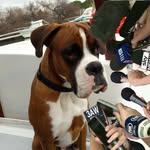 Sarah Benoit - @sarah.benoit.5245 - Instagram