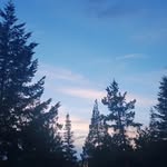 sara - @sarabenton889 - Instagram