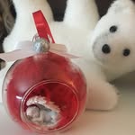 Sara Bertolini - @stelle_decori - Instagram