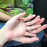 Sara_bill - @zahira__kaisara - Instagram