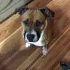 Sadie Bledsoe - @sadie.bledsoe6 - TikTok