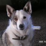 Sara Blevins McCawley - @sarablevinsmccawley - Instagram