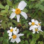 Sara Boggs - @with.love.from.sara - Instagram