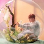 sara boggs - @just_love_bts_23 - Instagram