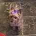 Sara Jones Boggs - Facebook