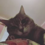 Sara boschi - @boschi504 - Instagram