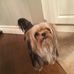 Sara Boucher - Facebook