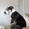 sarbear୨ৎ - @sara.boudreaux - TikTok