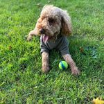 SaraBourke - @sarajbourke - Instagram