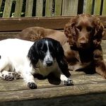 Sarah Bourne - @sarah.bourne.73 - Instagram