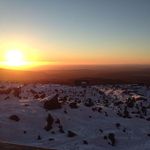Sarah Boyes - @sarah.jacinda.b - Instagram
