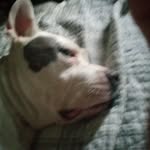 Sara boykin - @boykin3709 - Instagram