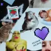 sarah - @sarahmboylan - TikTok