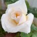 Sara Bracamontes - Facebook