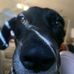 Sara Brackett - Facebook