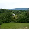 Sara Brackett - @half_acre_short_farm - TikTok