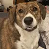 Sara🐶 - @saramueller761 - TikTok