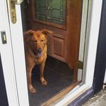 Sarah Brainard - @srbrain13 - Instagram