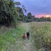Sarah Braman - Facebook